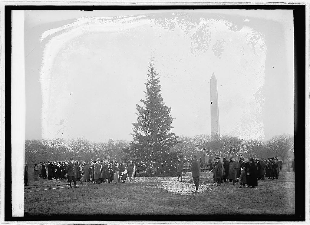 Detail of photograph showing the first "National Christmas Tree" on the Ellipse with the Washington Monument in the background.