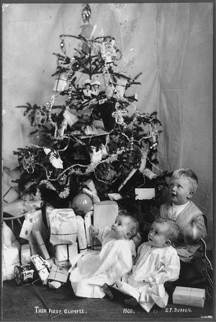 1901 photo of children looking at a Christmas Tree.